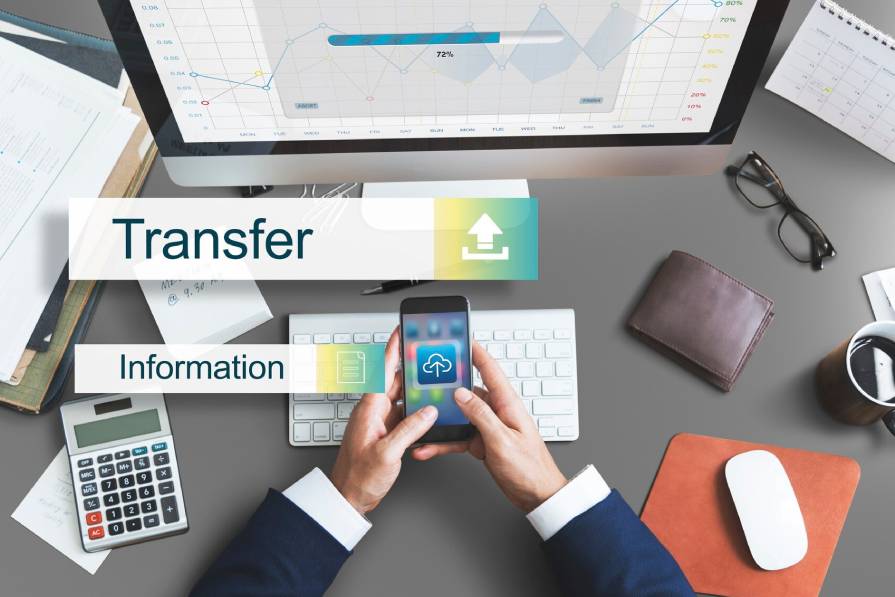 You are currently viewing Domain Freedom: How to Execute a Flawless Name Transfer
