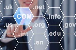 Domain Dreams: Securing Your Future with Backorders, Wrapping Up: Elevate Your Digital Presence with Smart Backordering Strategies
