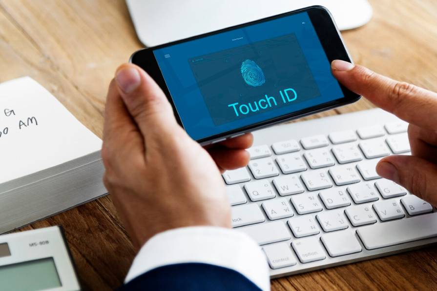 You are currently viewing Destination Domain: Your Roadmap for Successful Transfers